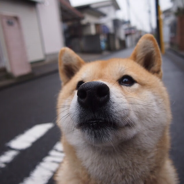 TES推行职业选手心理健康日常监测，职业选手心理素质