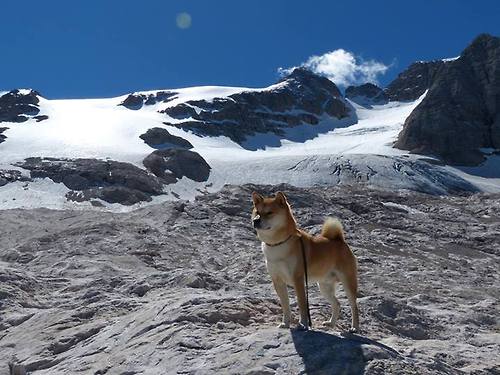 乌迪内斯主场逼平国米，恩尼斯定胜局进球，意甲乌迪内斯vs威尼斯