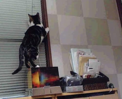 克罗地亚队在巴黎奥运会手球比赛中多次通过快速反击得分，克罗地亚男足进奥运会了吗