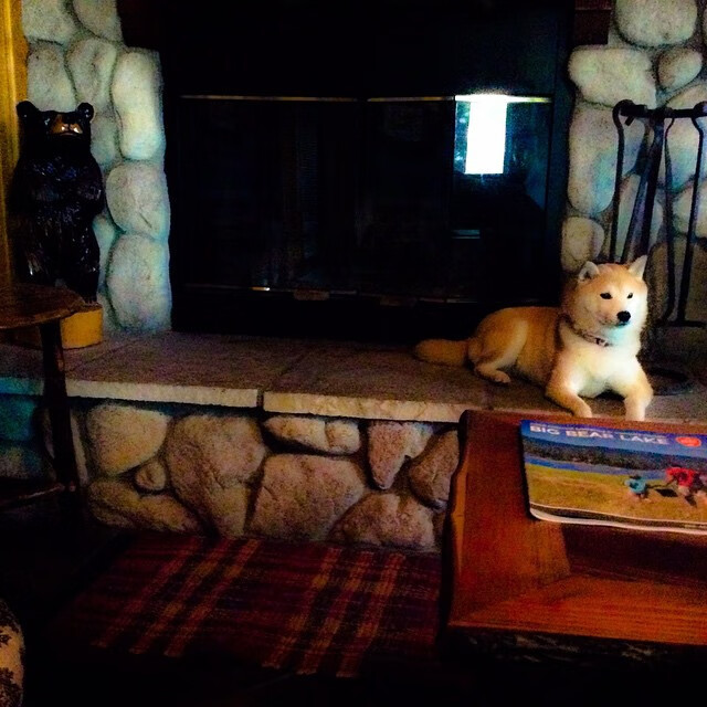 博卡青年球员伤愈复出，博卡青年2020主力阵容