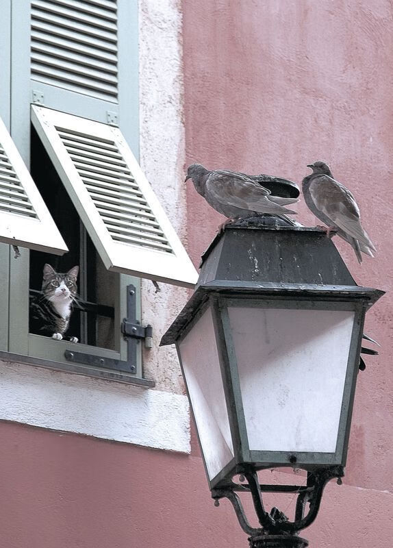 爱游戏品牌互动-奥萨苏纳连平达到三场，保持不败，奥萨苏纳竞技俱乐部