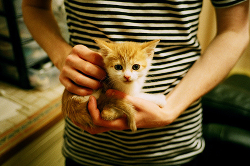 女足世界杯现场转播技术革新,女足世界杯直播平台