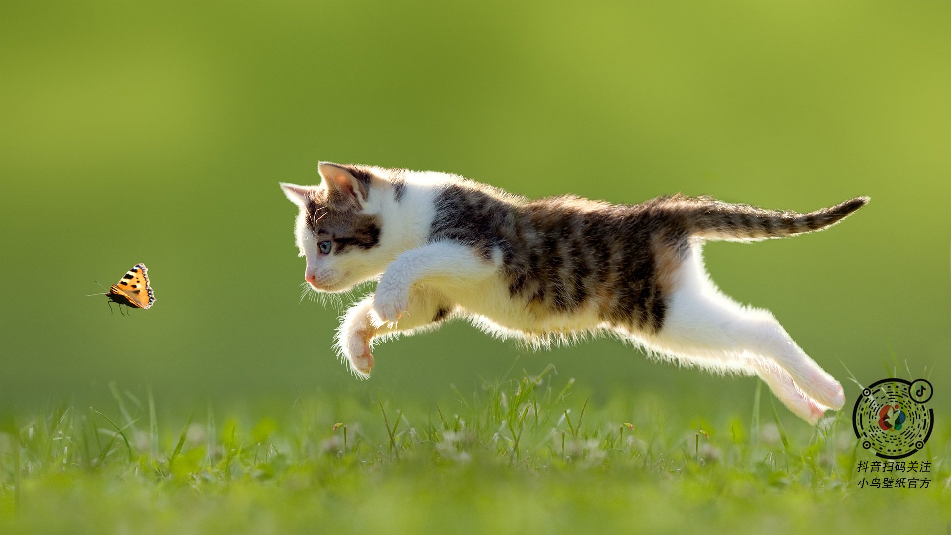 意大利足球联赛球员入选国家队备战国际赛，意大利足球国家队名单最新