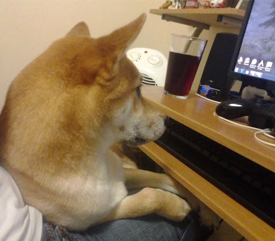 体育发展规划执行情况督查反馈机制建议，体育督查自查报告