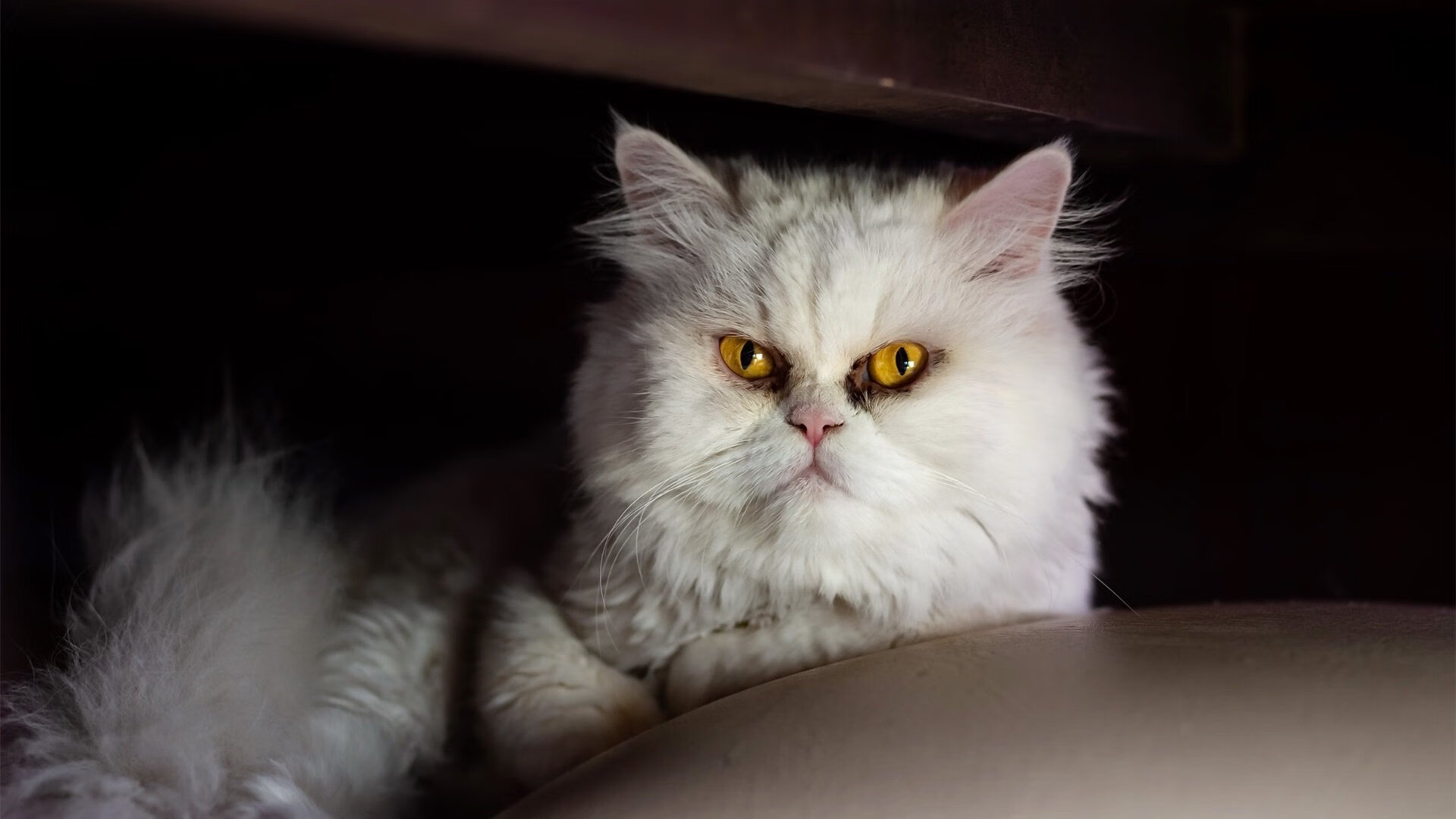 欧洲豪门“厮杀”：皇马、拜仁、曼城火拼季