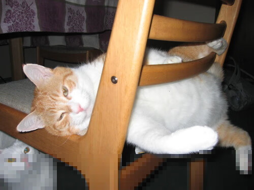 “快速、激烈，充满变化！壁球赛场在高新区全民健身馆上演极速竞技”