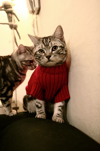 国际热身赛国足爆冷 球迷呼吁加强防守,国足热身赛大胜